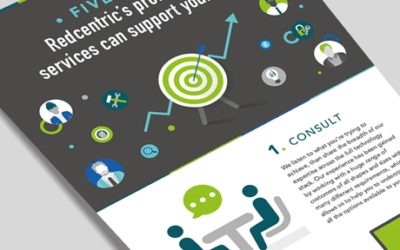 Thumbnail Professional Services to support your business goals infographic